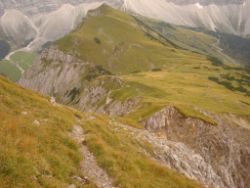 2013-09-08_6Falkenh-Steinfalk (202).JPG